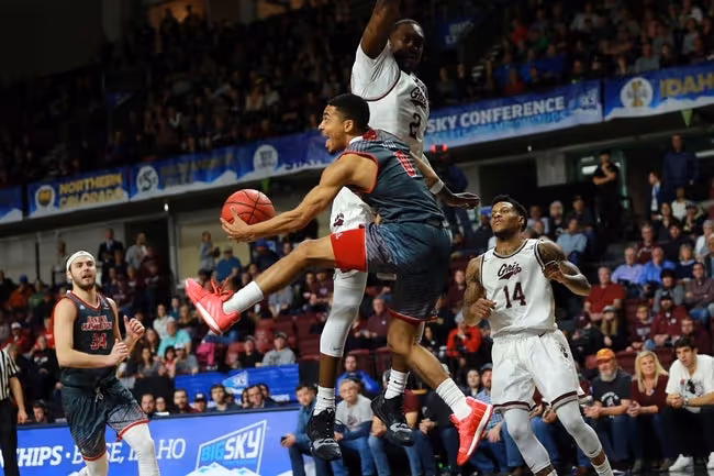 Clothing, Footwear, Shoe