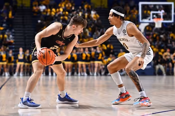 Clothing, Footwear, Shoe