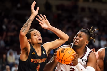 Basketball, Person, Playing Basketball