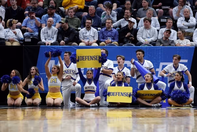 Electronics, Headphones, Adult