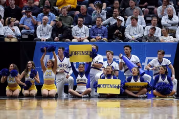 Electronics, Headphones, Adult