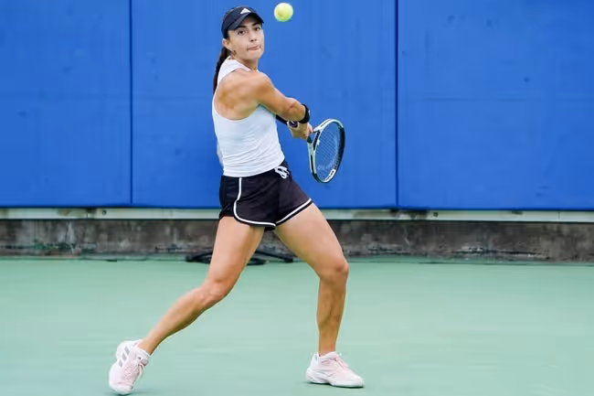 Clothing, Footwear, Shoe