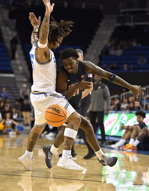 Clothing, Footwear, Shoe