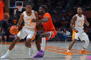 Clothing, Footwear, Shoe