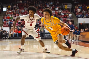 Clothing, Footwear, Shoe