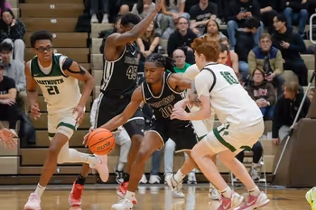 Clothing, Footwear, Shoe