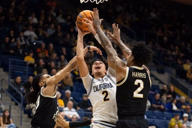 Basketball, Person, Playing Basketball