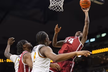 Basketball, Person, Playing Basketball