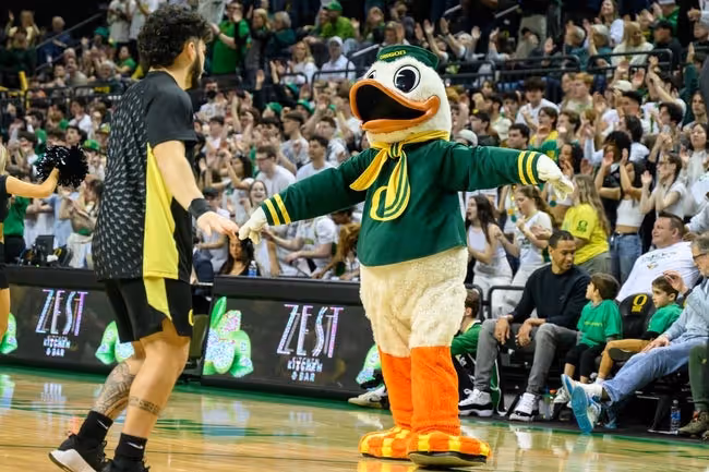 Mascot, Person, Clothing