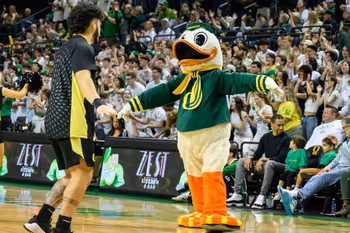 Mascot, Person, Clothing