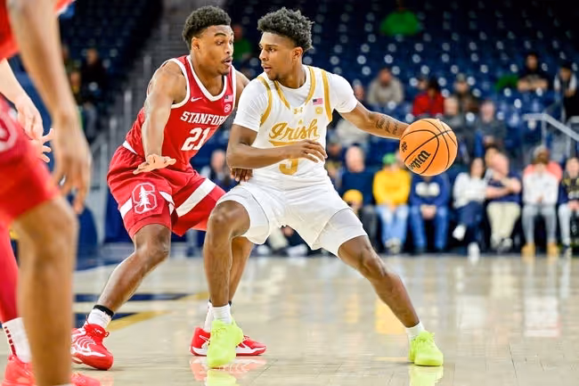 Clothing, Footwear, Shoe