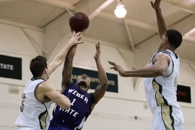 Basketball, Person, Playing Basketball
