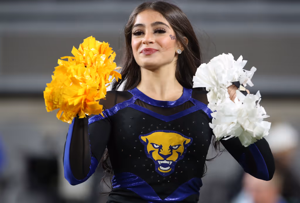 Flower, Flower Arrangement, Flower Bouquet