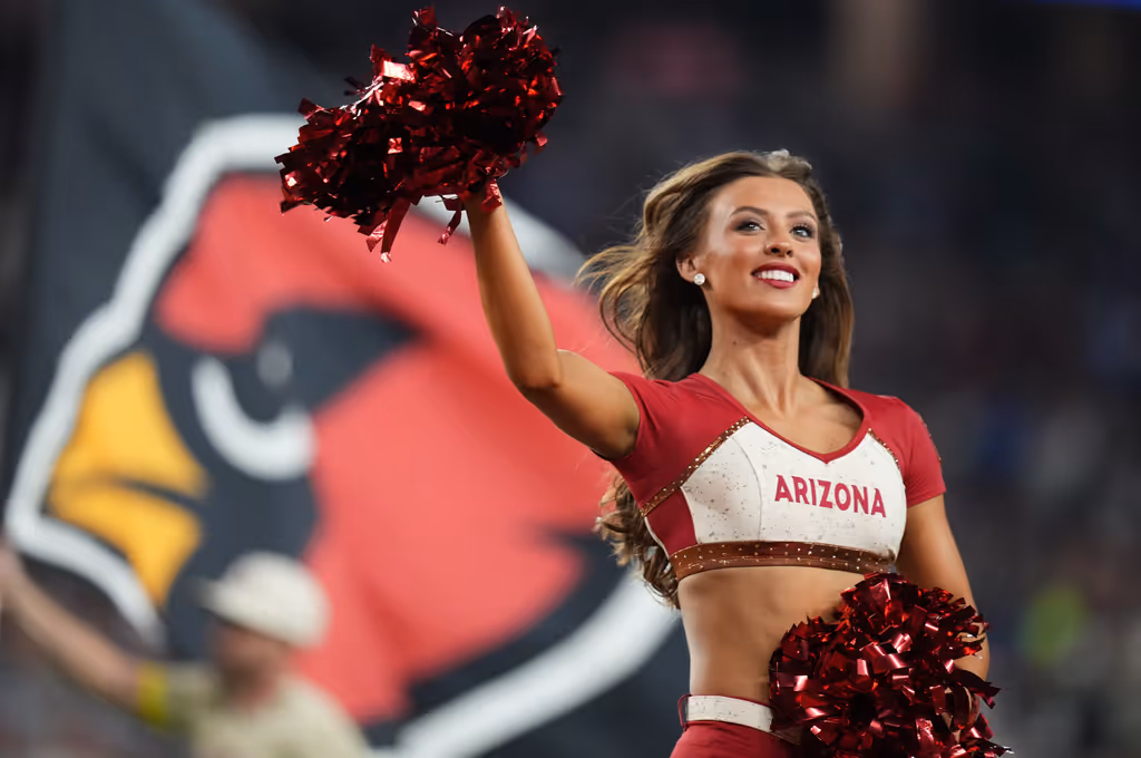 Blouse, Clothing, Adult