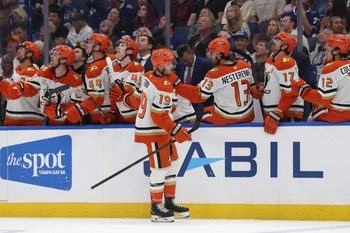 Oct 25, 2025; Tampa, Florida, USA; Anaheim Ducks right wing Troy Terry (19) is congratulated after he scored a goal against the Tampa Bay Lightning during the third period at Benchmark International Arena. Mandatory Credit: Kim Klement Neitzel-Imagn Images