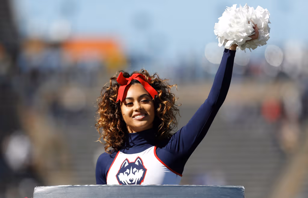 Flower, Flower Arrangement, Flower Bouquet