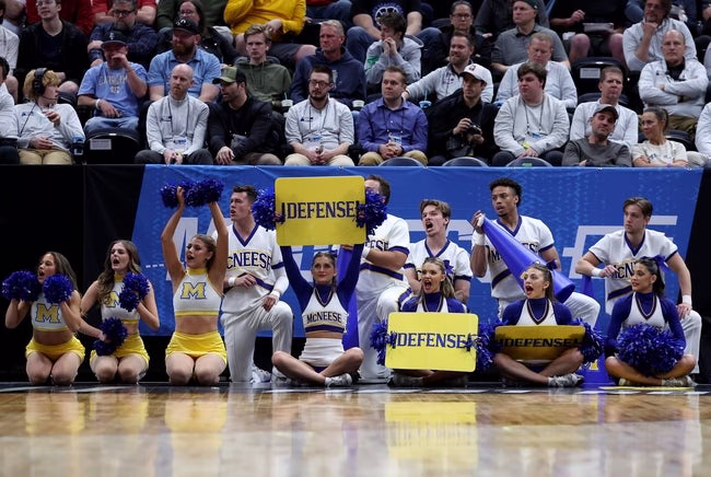 Electronics, Headphones, Adult