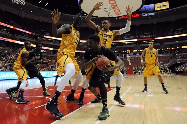 Clothing, Footwear, Shoe