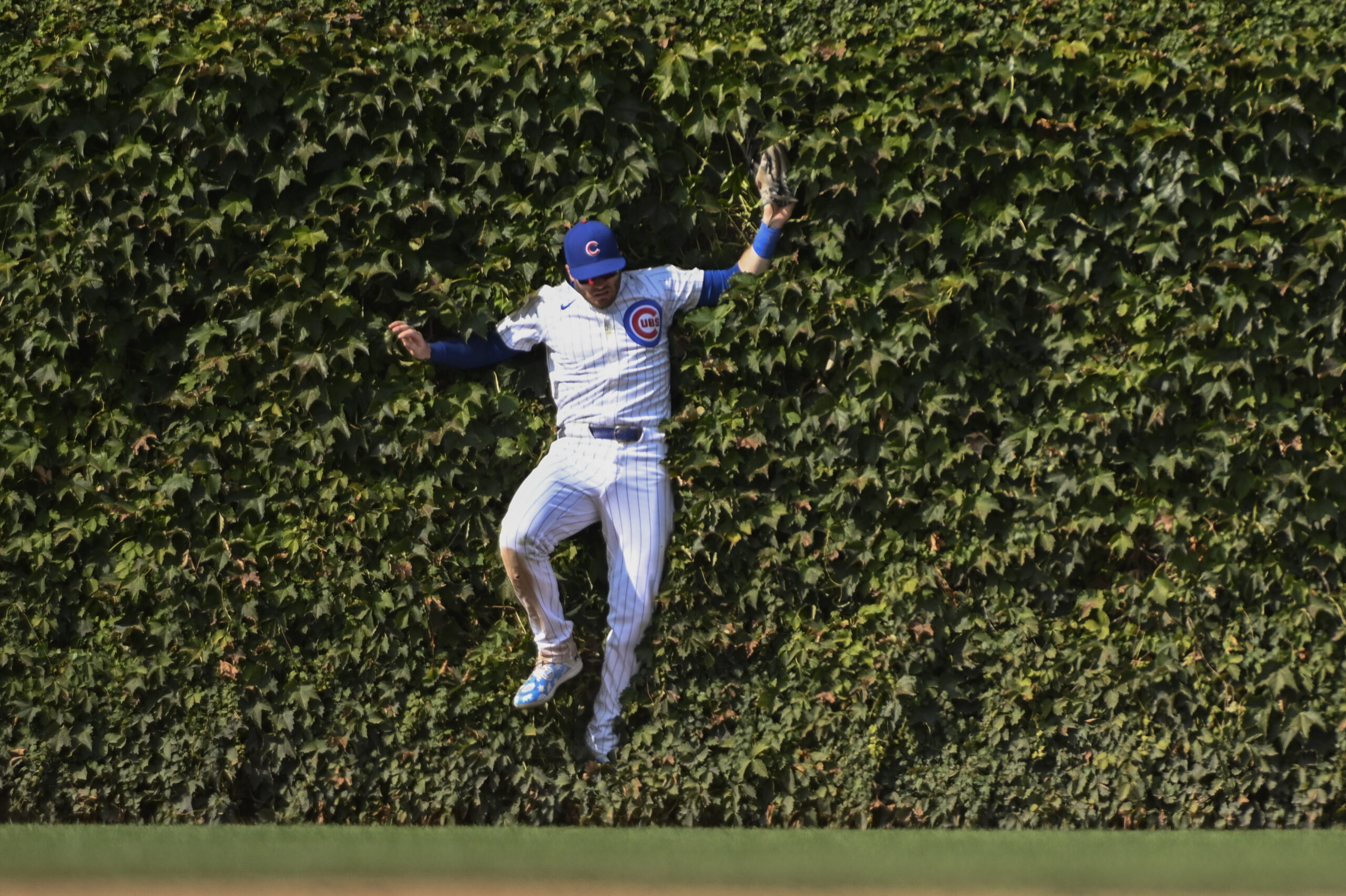 Sep 8, 2024; Chicago, Illinois, USA;  Chicago Cubs outfielder Ian Happ (8) catches a fly ball hit by New York Yankees catcher Austin Wells (28) during the eighth inning at Wrigley Field. Mandatory Credit: Matt Marton-Imagn Images