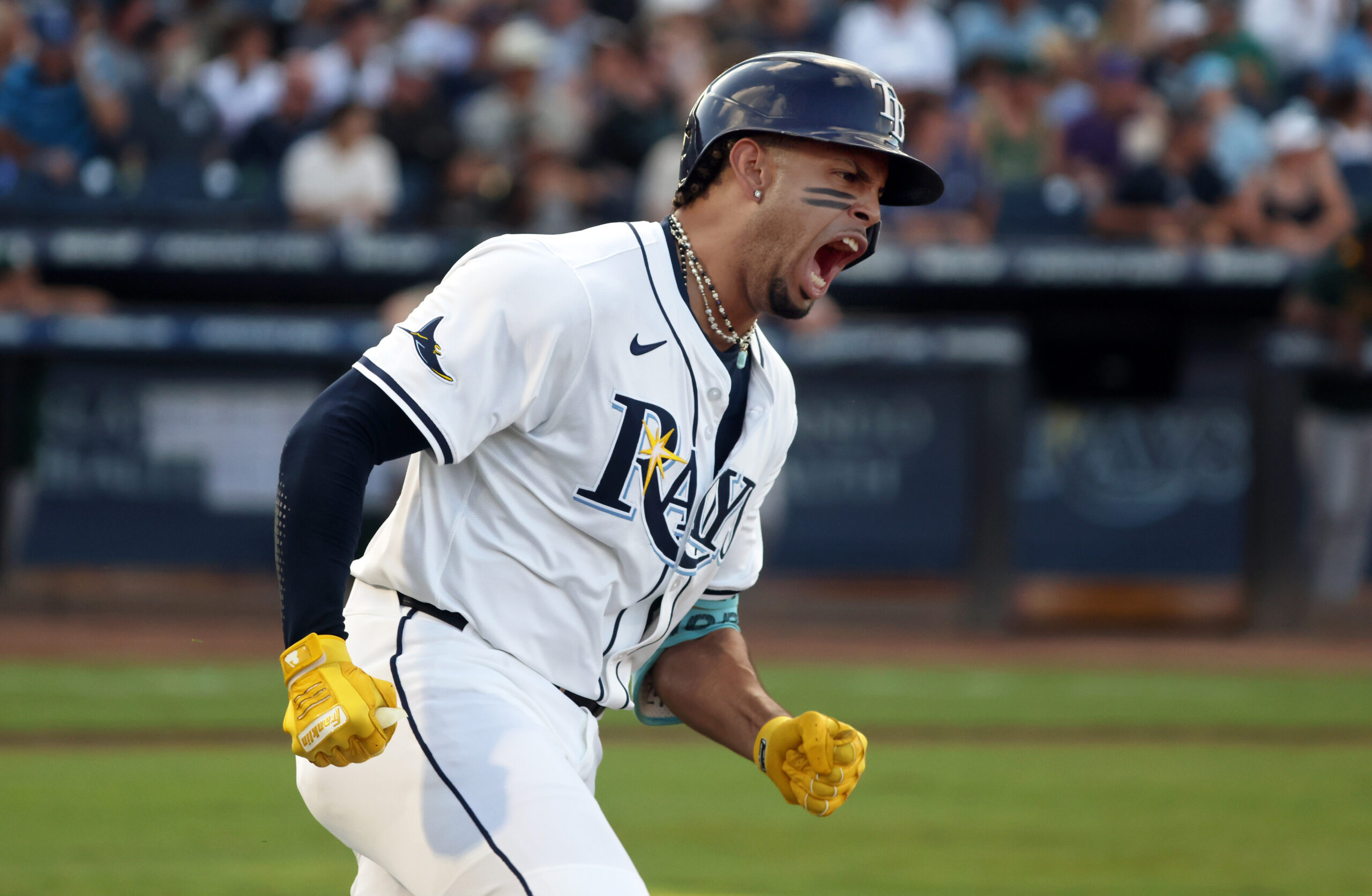 Jul 1, 2025; St. Petersburg, Florida, USA; at George M. Steinbrenner Field. Mandatory Credit: Kim Klement Neitzel-Imagn Images