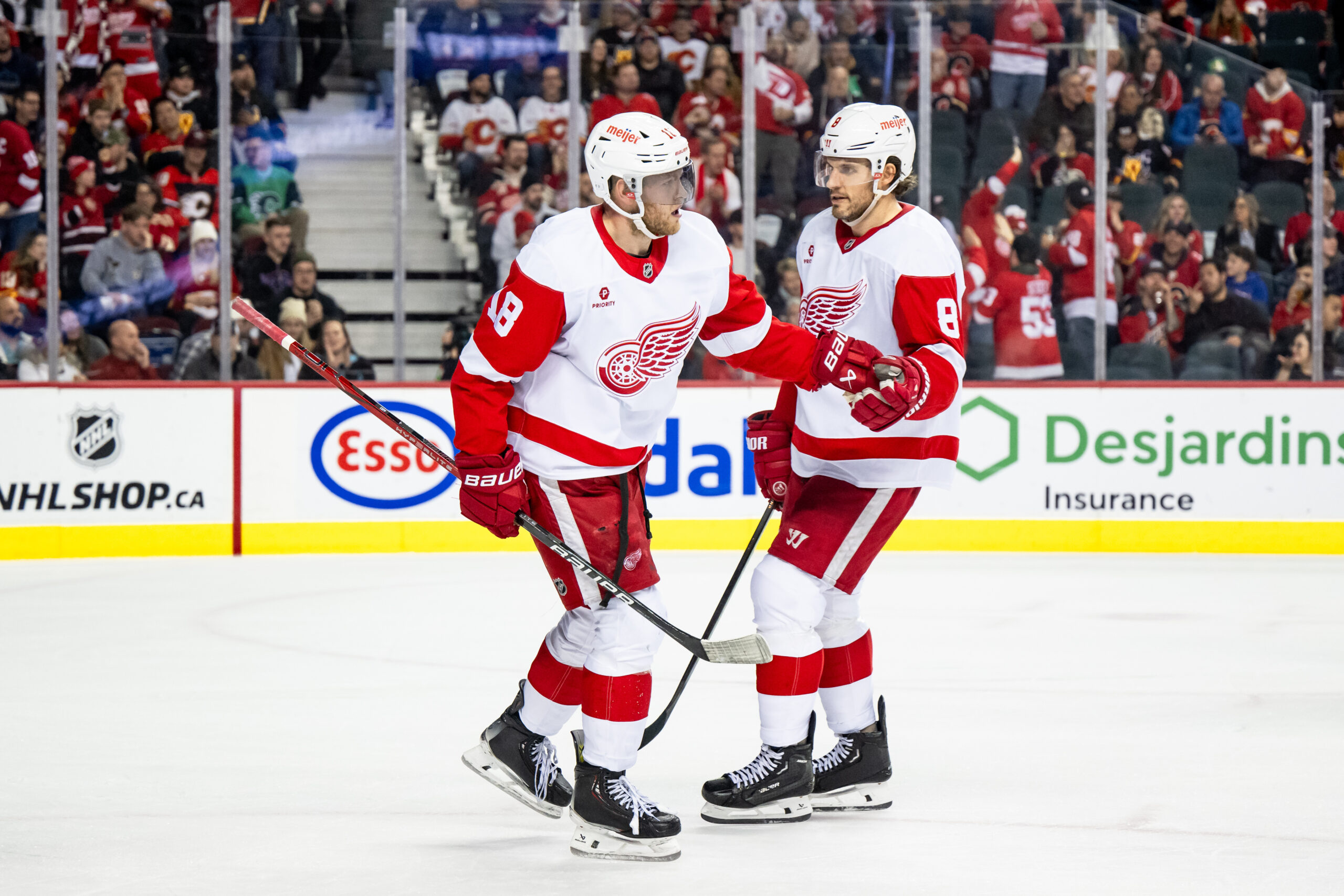 Feb 1, 2025; Calgary, Alberta, CAN; Detroit Red Wings center Andrew Copp (18) celebrates with defenseman Ben Chiarot (8) after scoring an empty net goal against the Calgary Flames during the third period at Scotiabank Saddledome. Mandatory Credit: Brett Holmes-Imagn Images