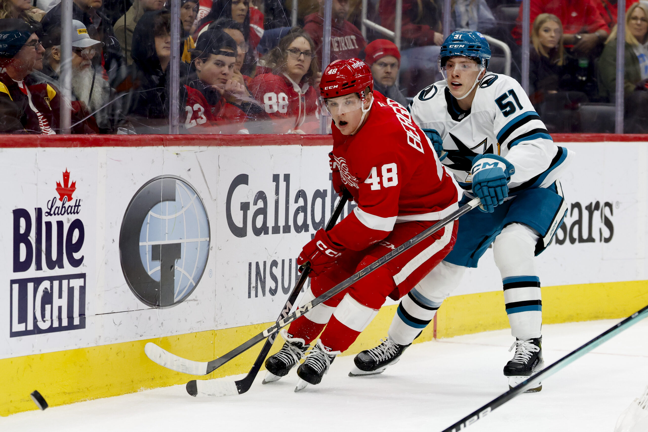 Jan 14, 2025; Detroit, Michigan, USA; Detroit Red Wings right wing Jonatan Berggren (48) and San Jose Sharks right wing Collin Graf (51) battle for the puck in the second period at Little Caesars Arena. Mandatory Credit: Rick Osentoski-Imagn Images