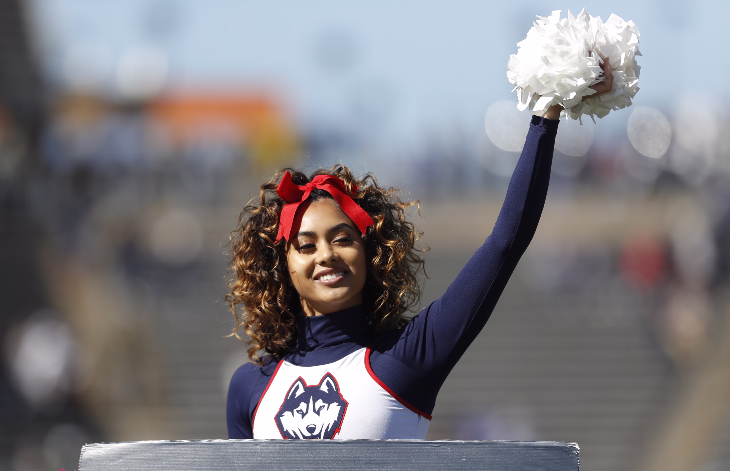 Flower, Flower Arrangement, Flower Bouquet